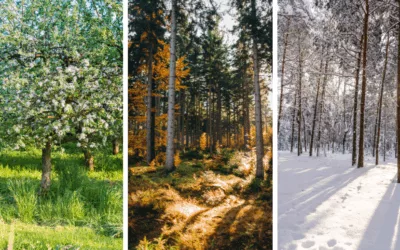 Best Time To Visit Poland Seasonal Highlights and Must-See Attractions