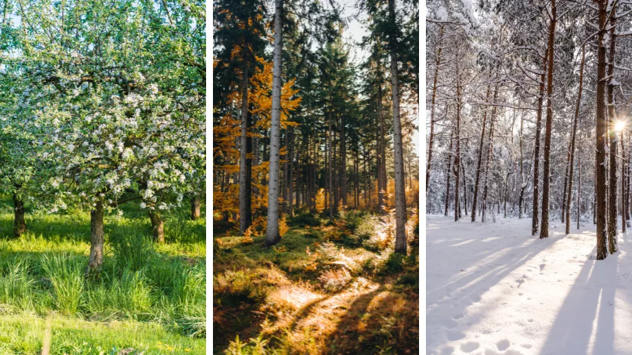 Best time to visit Poland