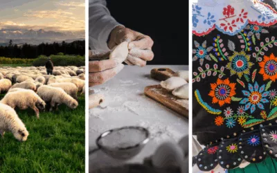 Polish Culture 🇵🇱8 Reasons and Places to Experience the Heart of Poland