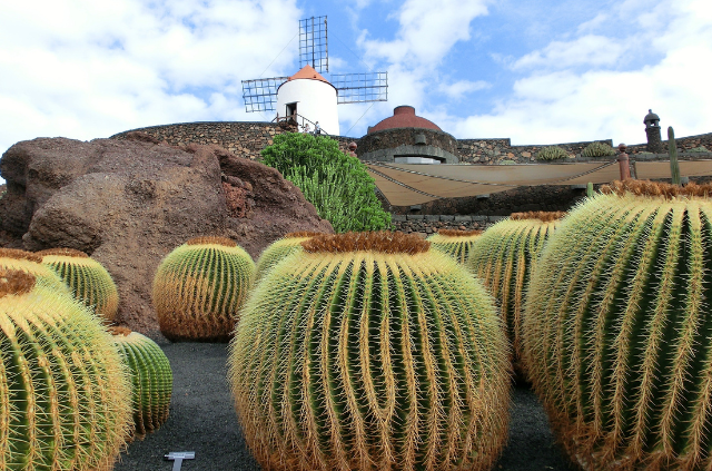 qué ver en Lanzarote