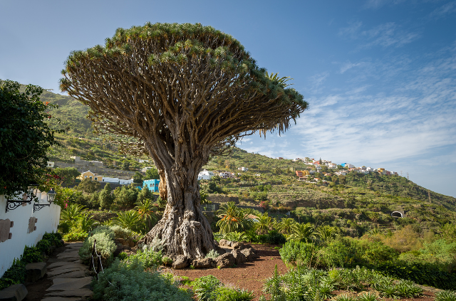 qué ver en tenerife