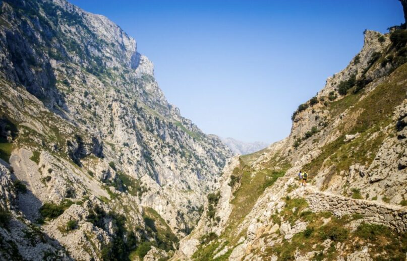 Picos de Europa