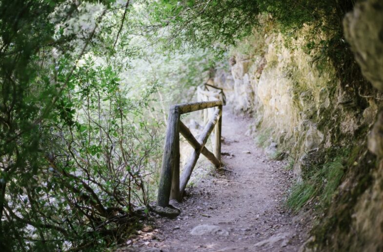 sierra de Cazorla 