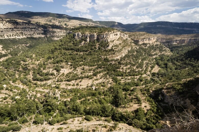 ruta del silencio