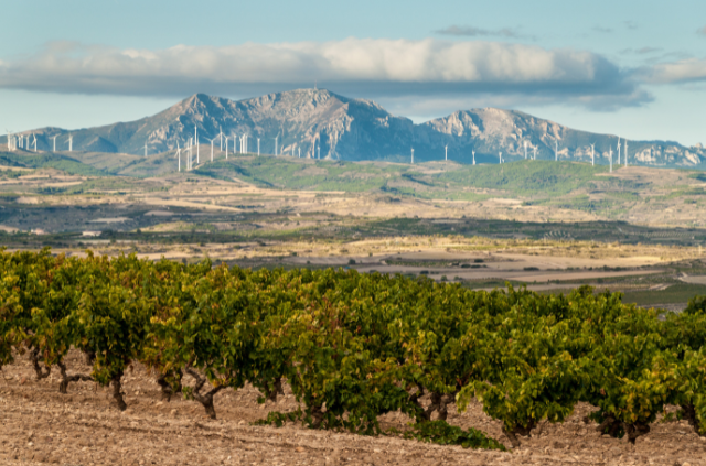 la rioja paisajes 