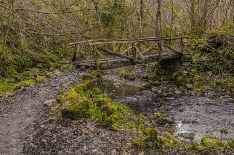 Asturias puente