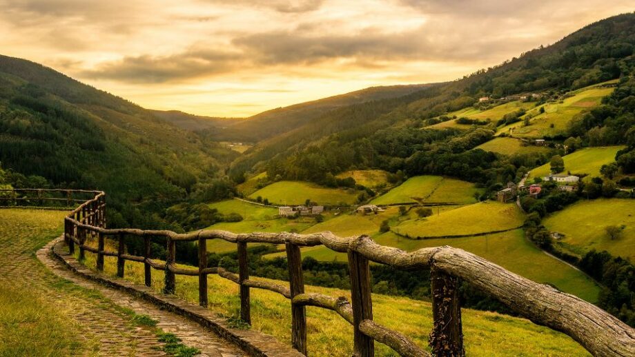 La Ruta del Agua 8 lugares para explorar en tu caminada 🌊