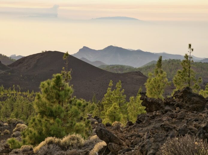 Parque Natural de Cumbre Vieja