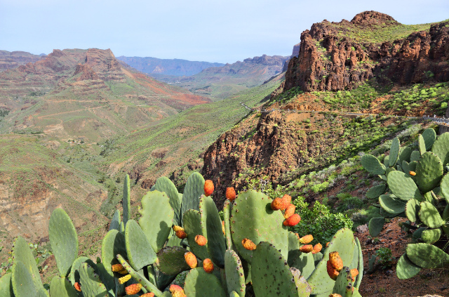 qué ver en gran canaria