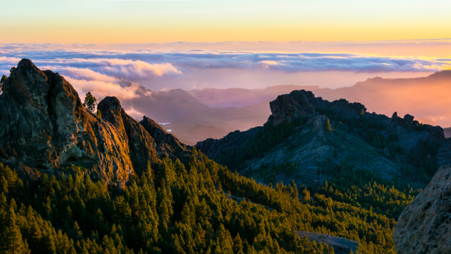 ¿Qué ver en Gran Canaria? 10 razones para visitar la isla 🏝️