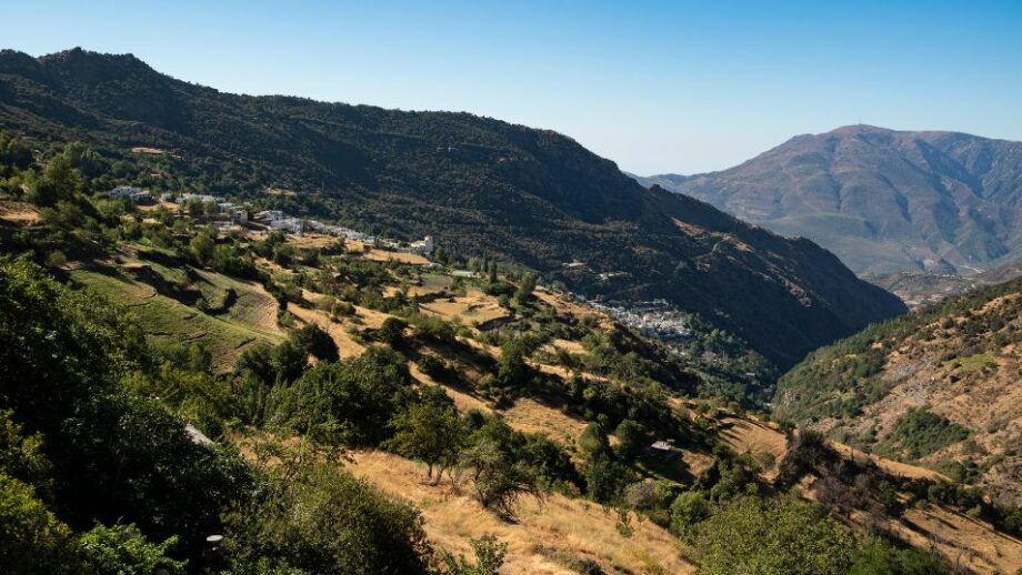 Ruta de los Bolos 8 lugares maravillosos en Granada 💛