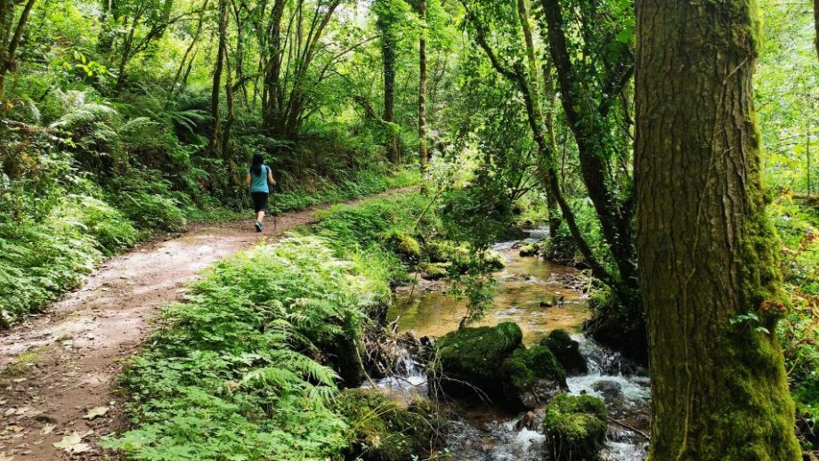 Ruta de los Molinos 10 sitios que hay que visitar 🌟