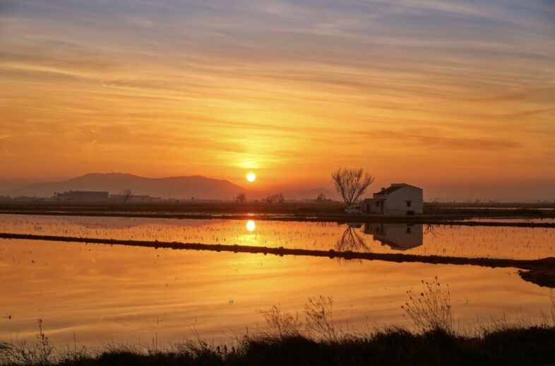 Parque Natural del Delta del Ebro 