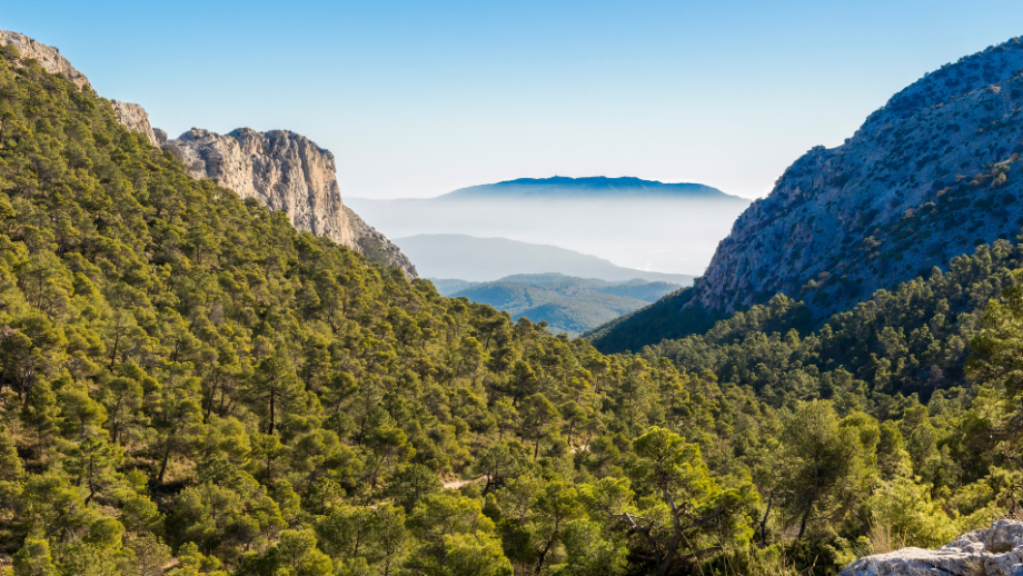 Sierra Espuña