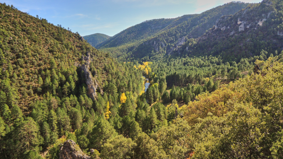 Alto Tajo Parque Natural 🦅 10 lugares maravillosos para explorar