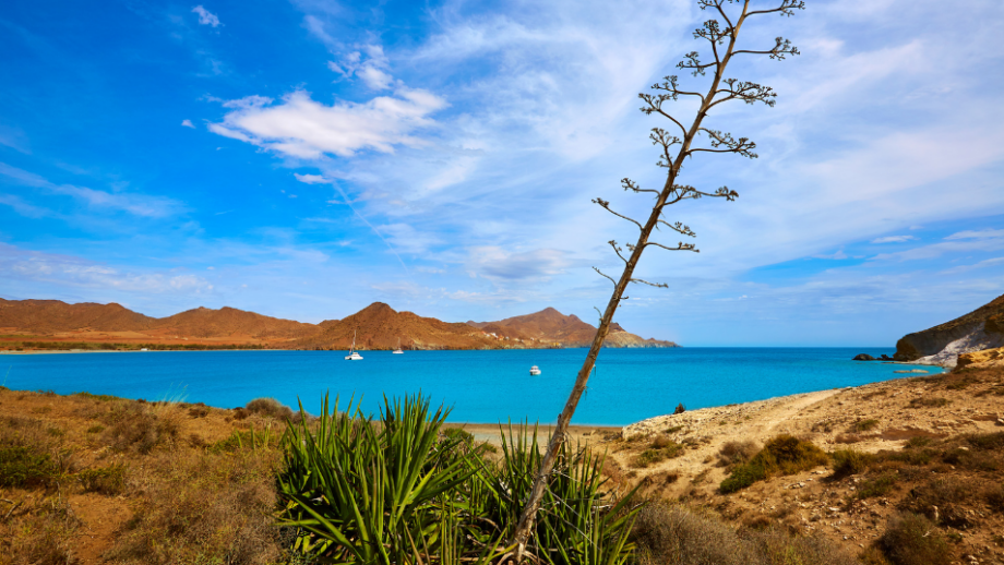 Playa de los Genoveses