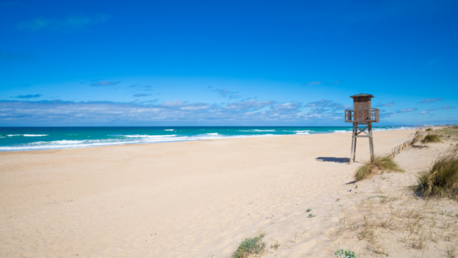 Playa del Palmar 9 lugares maravillosos en Andalucía 🌞