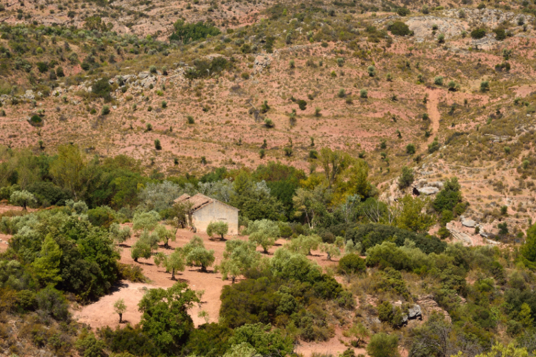 Sierra de las Nieves