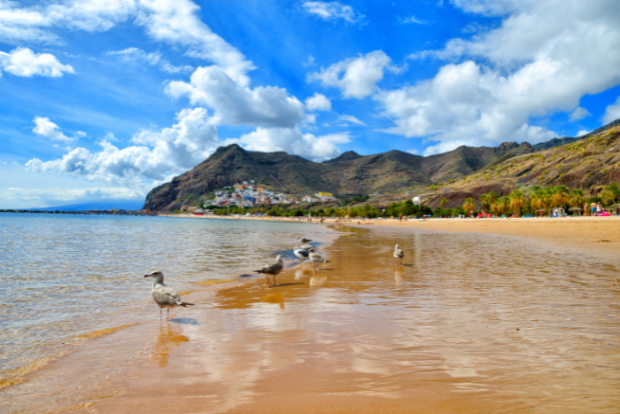 Playa de Teresitas