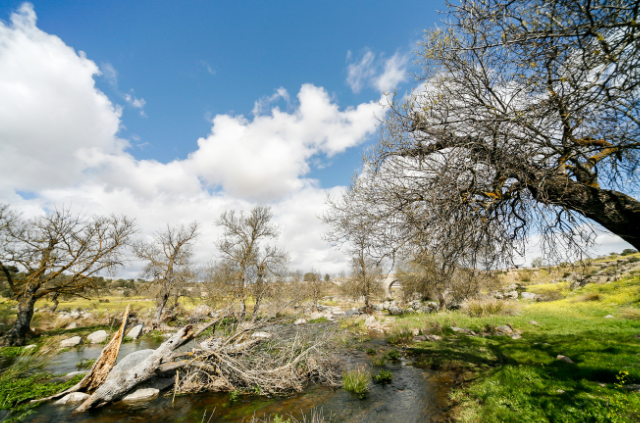 montes de toledo