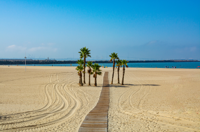 playa de la costa ballena