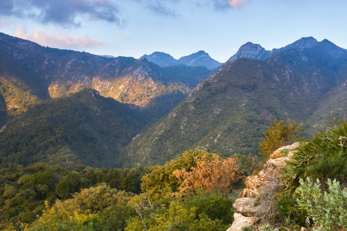 Sierra Blanca