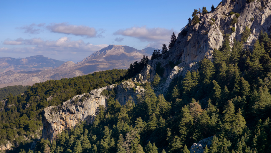 Sierra de las Nieves 🏔️ 11 actividades para todos