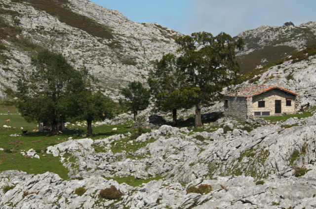 lagos de covadonga