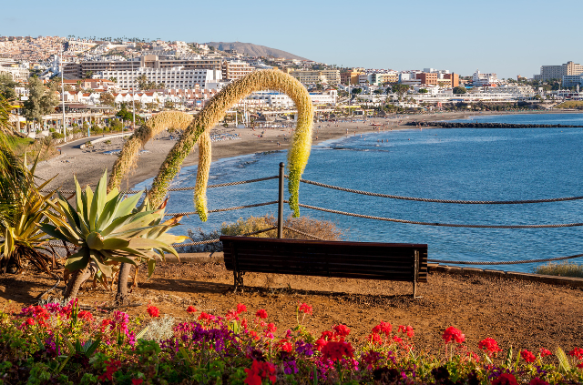 vistas de la costa adeje