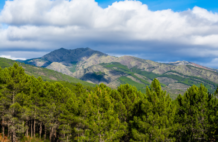 sierra de ayllón