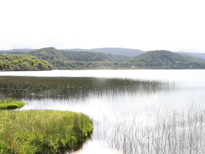 Parque Nacional de Doñana