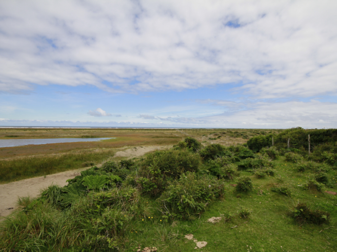 Parque Nacional de Doñana