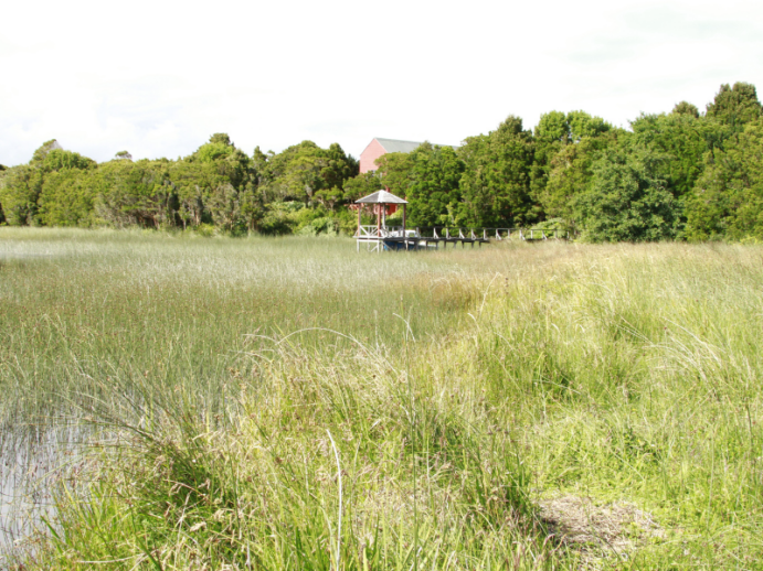 Parque Nacional de Doñana