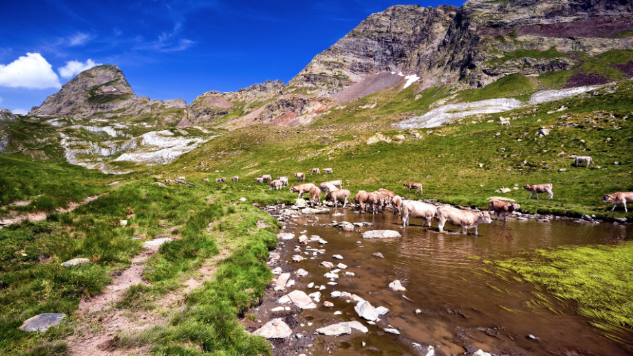 Pirineos Explora 8 rutas de senderismo en un paraíso natural 🏔