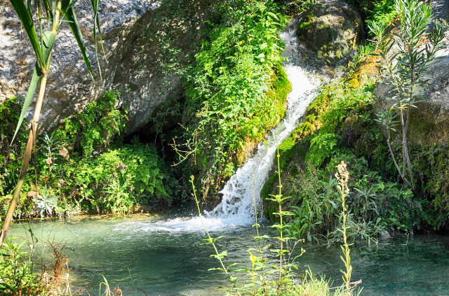 fuentes del algar 