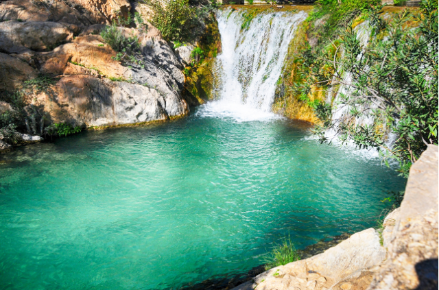 fuentes del algar