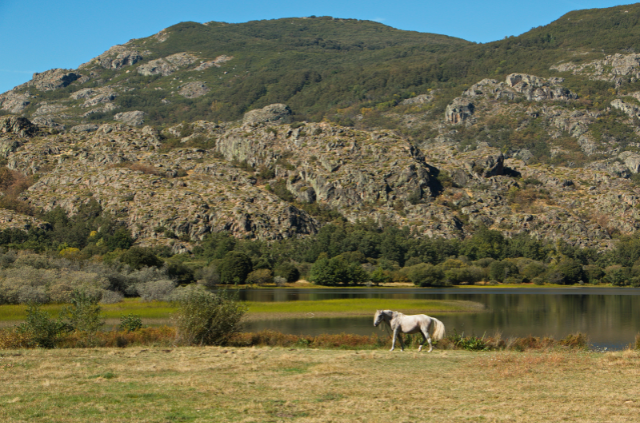 la Naturaleza en los alrededores