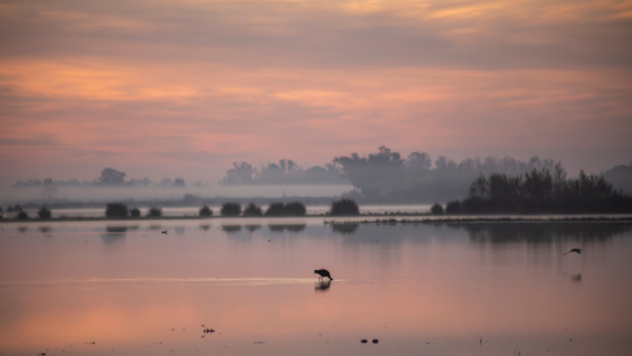 Parque Nacional de Doñana