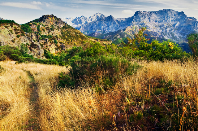 vistas a los picos de europa