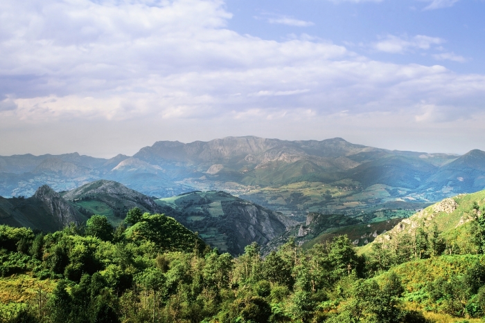 Panorama en la ruta de senderismo 
