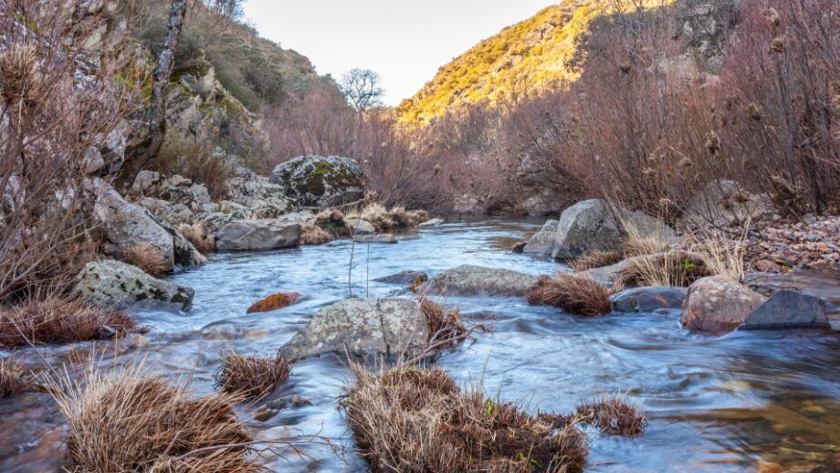 el río Estena