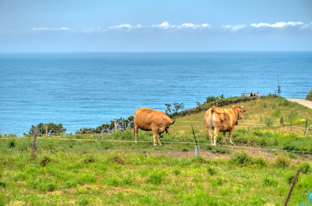 playa del silencio