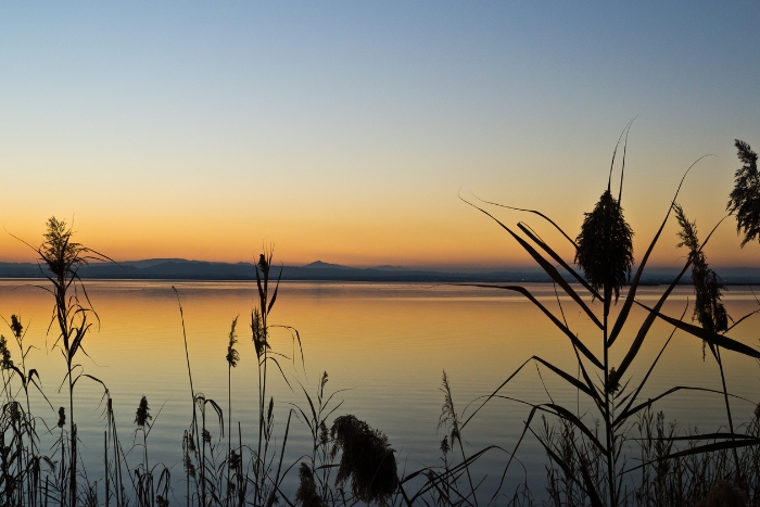 Parque Natural de la Albufera