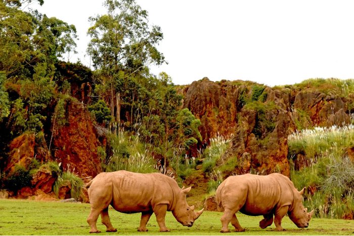 Parque de la Naturaleza de Cabárceno 