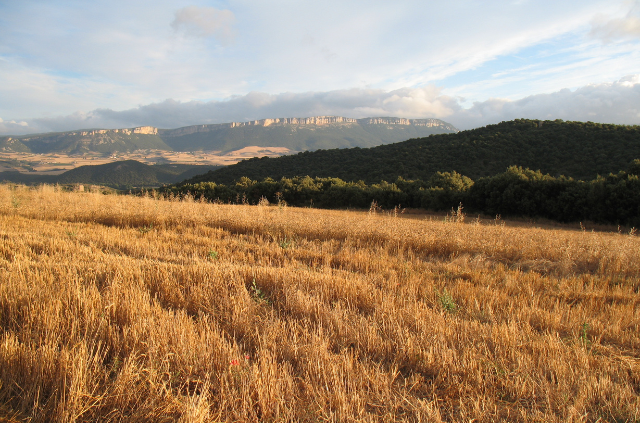 Qué ver en Navarra