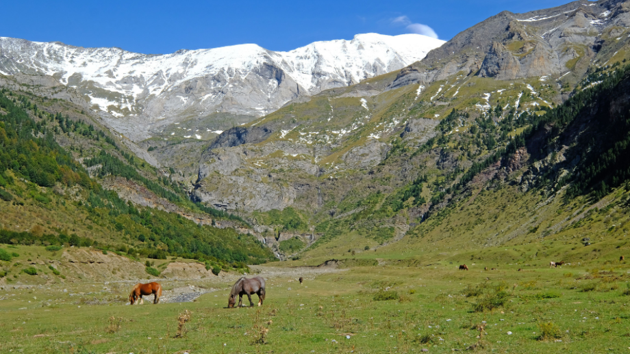 Parques Nacionales de España 🌲 13 mejores espacios naturales