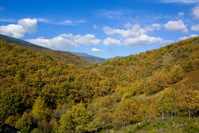 Sierra de Madrid: El Hayedo de Montejo