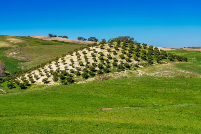 Sierra de Grazalema