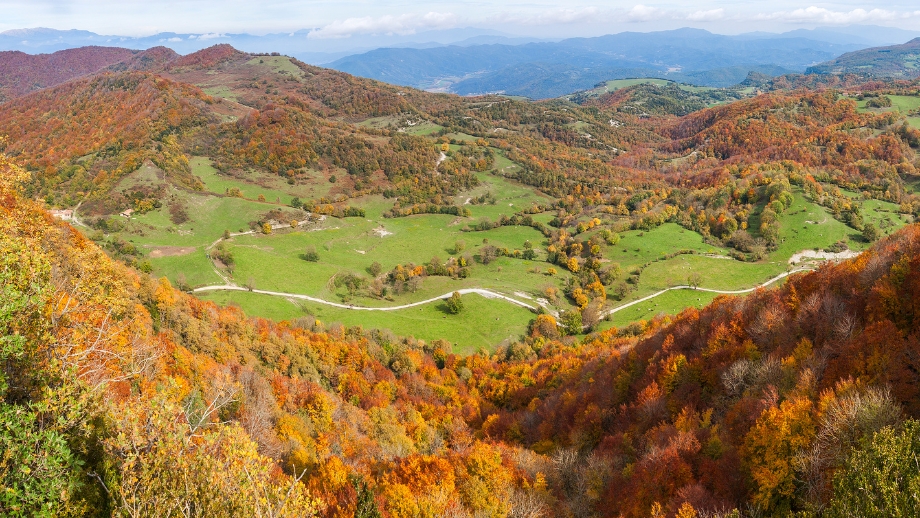 La fageda d’en Jordà Un refugio natural en el corazón de La Garrotxa 🌲