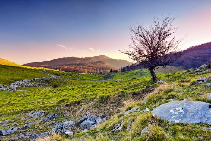 vistas al campo